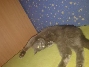 Фотография Лидер 3